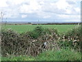 Dilapidated dry stone wall, Lizard