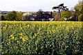 Looking over a field towards The Dower House