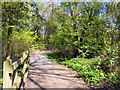 Pennington Flash Country Park