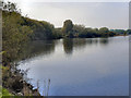 Pennington Flash, East Bay