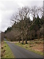 NM6762 : Road by Loch Sunart by Peter Bond