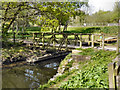 Bridge over Pennington Brook