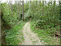 Footpath on Little Hawks Hill