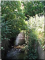 The Beck west of Kings Hall Road, BR3