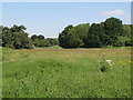 Former sports ground west of Kings Hall Road, BR3 (2)