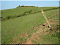 Permissive path, Tregantle range