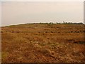 Challochglass Moor