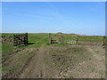 Gates and Pasture on Snow Hill Allotment