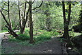 Moseley Bog Nature Reserve