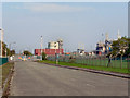 Chemical Works, Carrington Moss