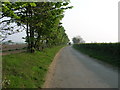 Moor Lane towards Full Sutton