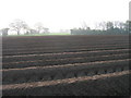 Ploughed field north of Wilberfoss