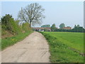 Minor road towards Barmby Moor