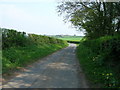 Mitchell Lane towards High Catton Grange