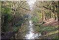 Wey and Arun Canal at Laker