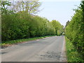 Minor road towards Sand Hutton