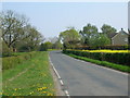 SE6654 : Minor road towards Holtby by JThomas