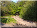 Junction of Blackwell Hall Road and unnamed road