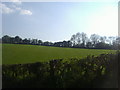 Field by Horse Hill, Leyhill Common