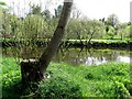 Camowen River, Mullaghmore