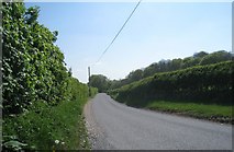 SU6043 : Country lane to Axford by Mr Ignavy
