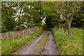 The lane at Lower Wood