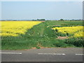 TF3707 : A view of farmland from Murrow Bank by Richard Humphrey