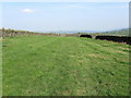 Bridleway leading to Parson