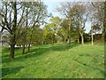 Wood pasture off Whalley Lane, Denholme