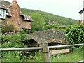 The packhorse bridge, Allerford