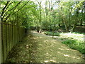 Footpath to Den Wood