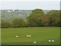 View across the Sirhowy Valley