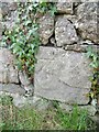 Benchmark on wall opposite Bronllwyd, Rh?s Lligwy