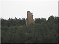 NT9342 : The remains of Duddo Tower by James Denham