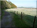 Headland and salt marsh near Laugharne