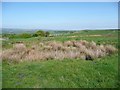 Bell Pit, Denholme Edge