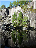 NY3101 : Reflections on the pool, Hodge Close Quarry by Karl and Ali
