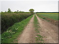 TF0295 : Farm track to North Gulham by Jonathan Thacker