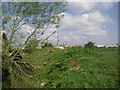 Westcourt Marshes, Denton