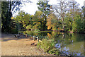 Lake on Cannon Hill Common