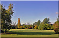 Autumn on Cannon Hill Common