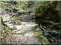 Boardwalk along the course of the Nant Llech