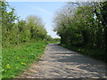 ST9182 : View along lane from Hullavington towards the A429 by Nick Smith