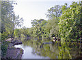 Spring on Cannon Hill Lake