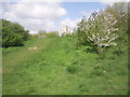 Northfleet Urban Country Park