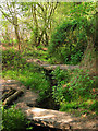 Two Bridges, Romany Ridge Common