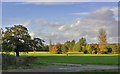 Autumn on Cannon Hill Common