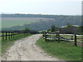 Track on the South Downs