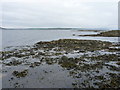 NS1453 : Low tide, looking towards Eilean na Gourock by Richard Law