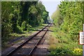 SU7878 : The railway line to Henley by Steve Daniels